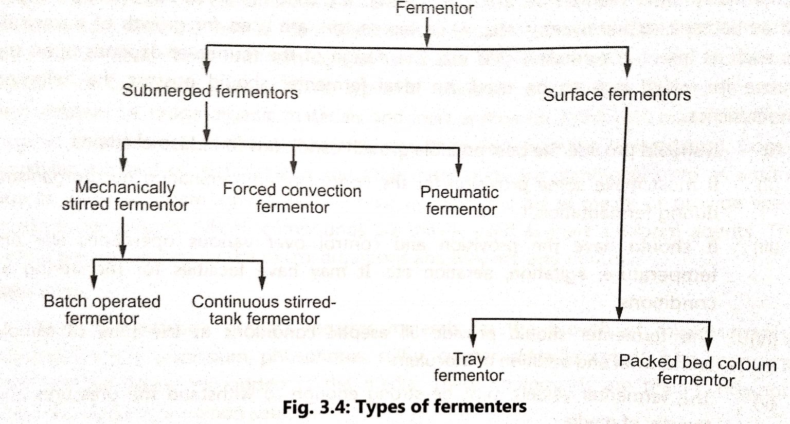 Types of fermenter BIOLOGY EASE