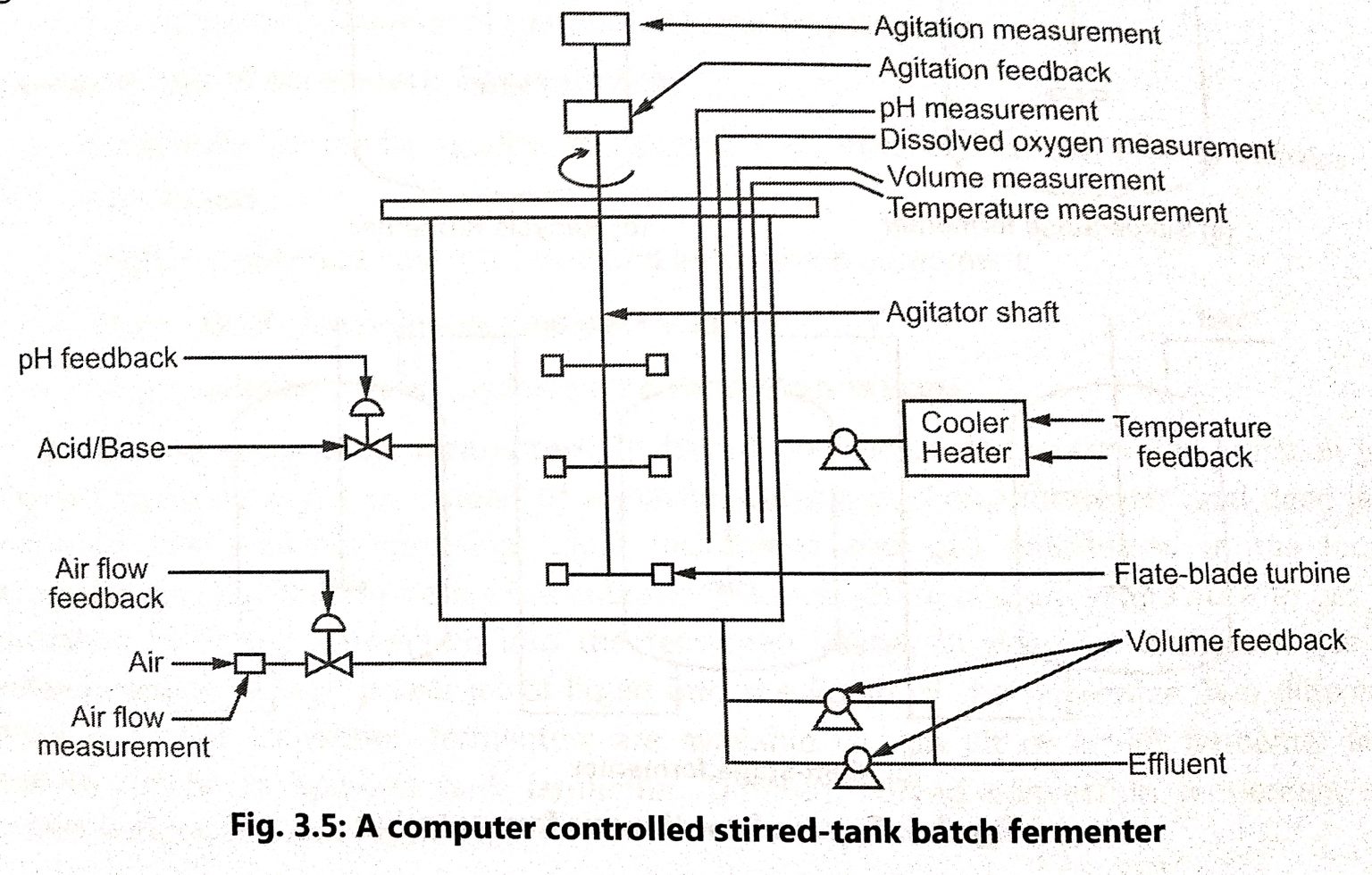 Types of fermenter BIOLOGY EASE