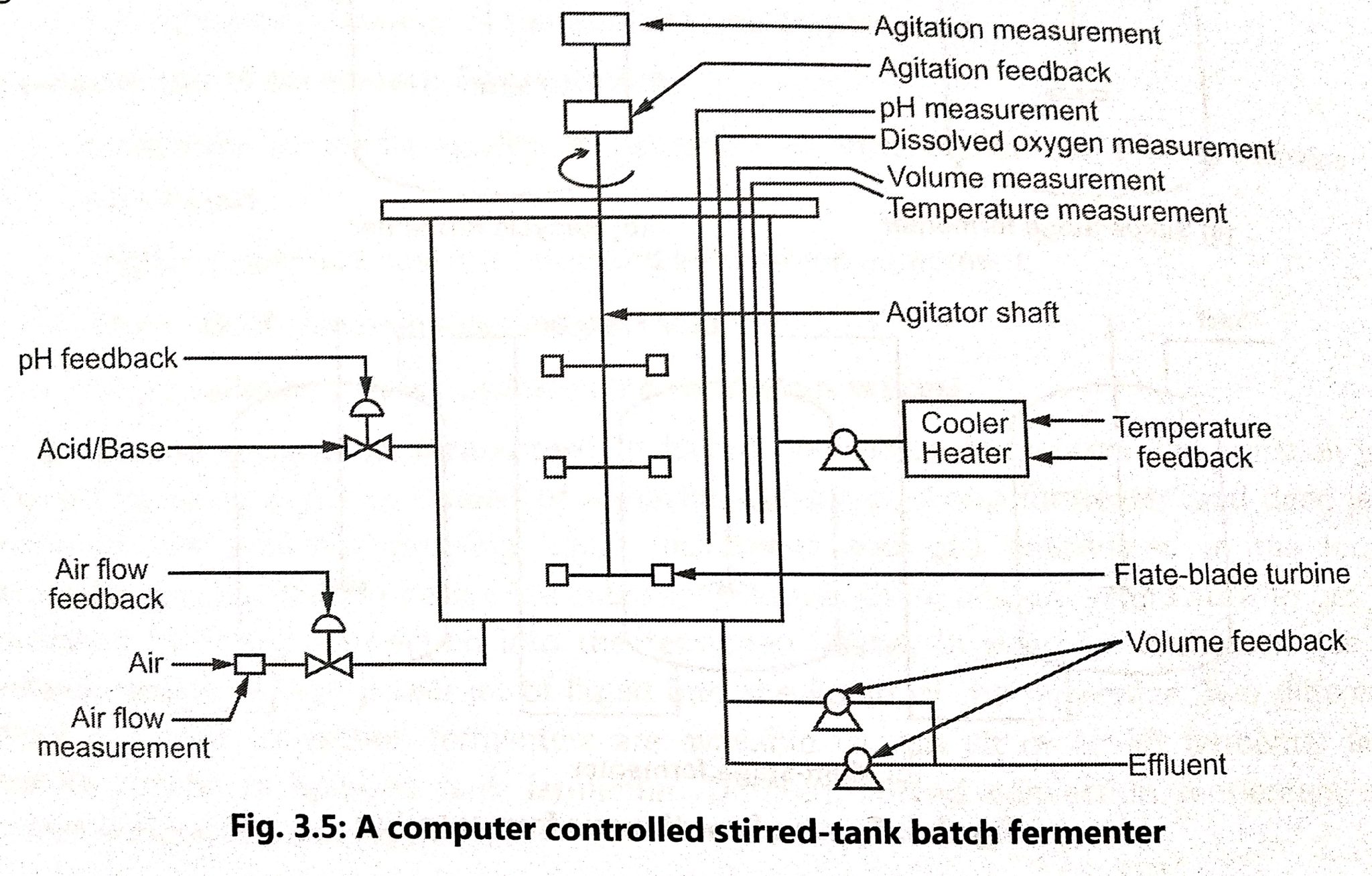 Types Of Fermenter - Biology Ease