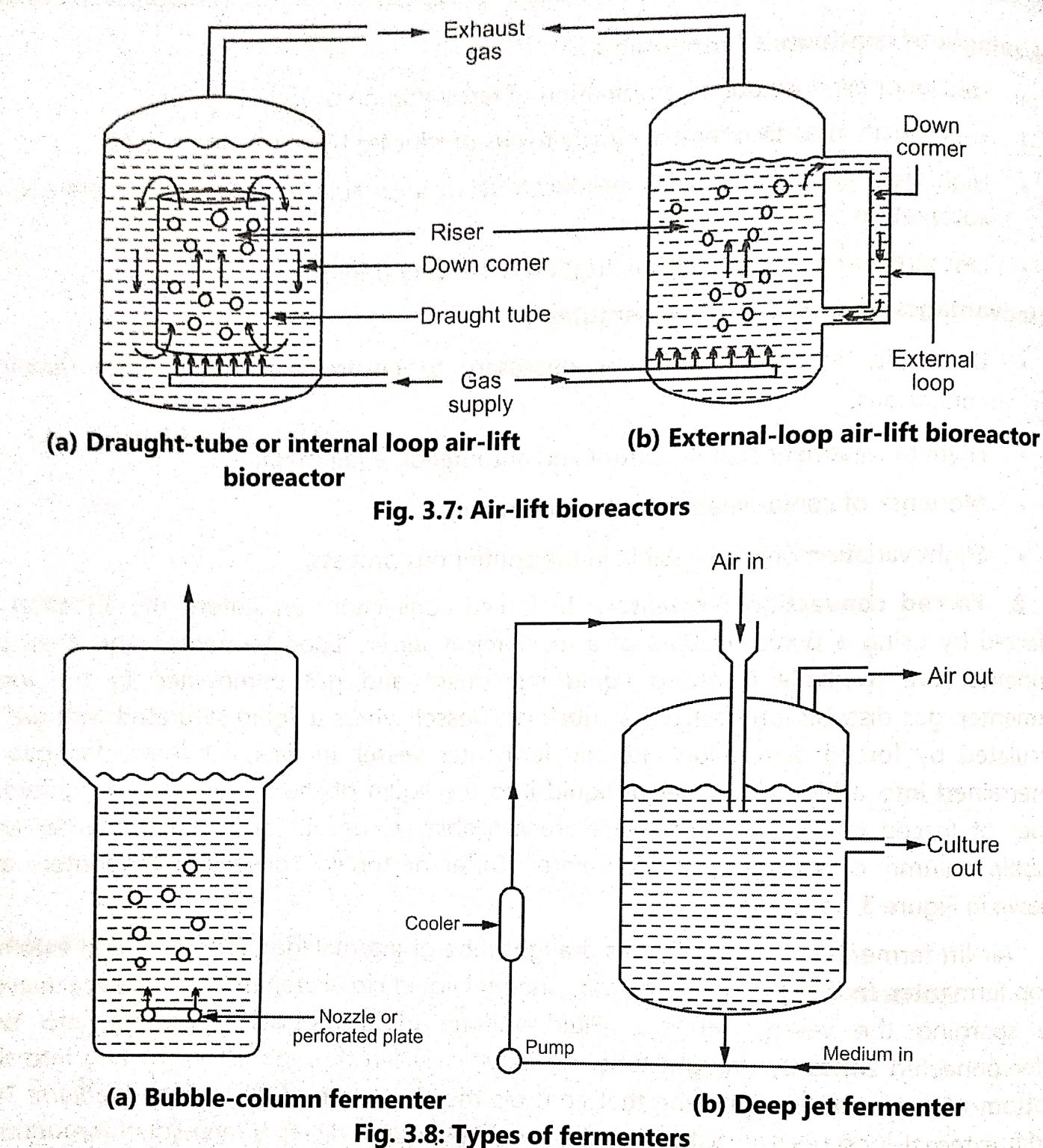 Types of fermenter BIOLOGY EASE