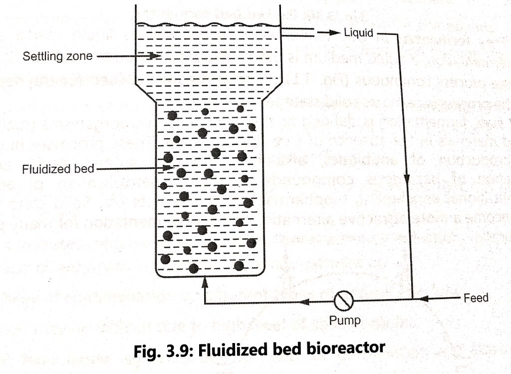 Types of fermenter BIOLOGY EASE
