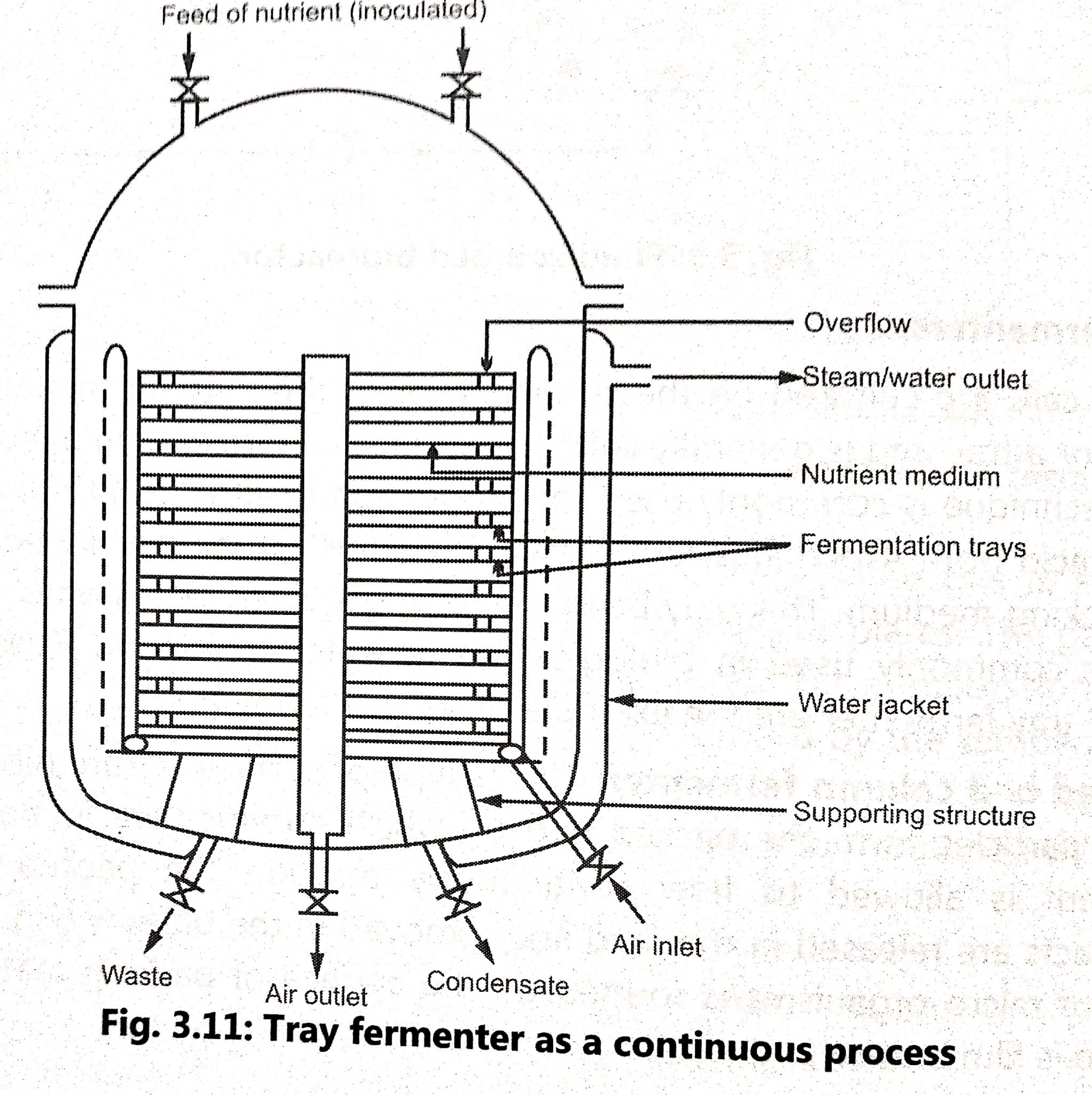 Types of fermenter BIOLOGY EASE