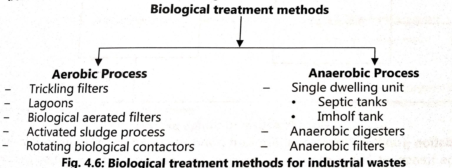 Biological Wastewater Treatment - Biology Ease