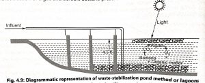 Biological Waste Treatment