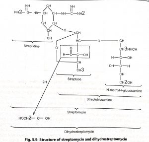 Production of Streptomycin and Product Recovery