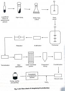 Production of Streptomycin and Product Recovery