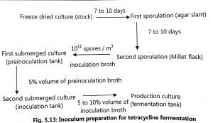 Production of Tetracycline