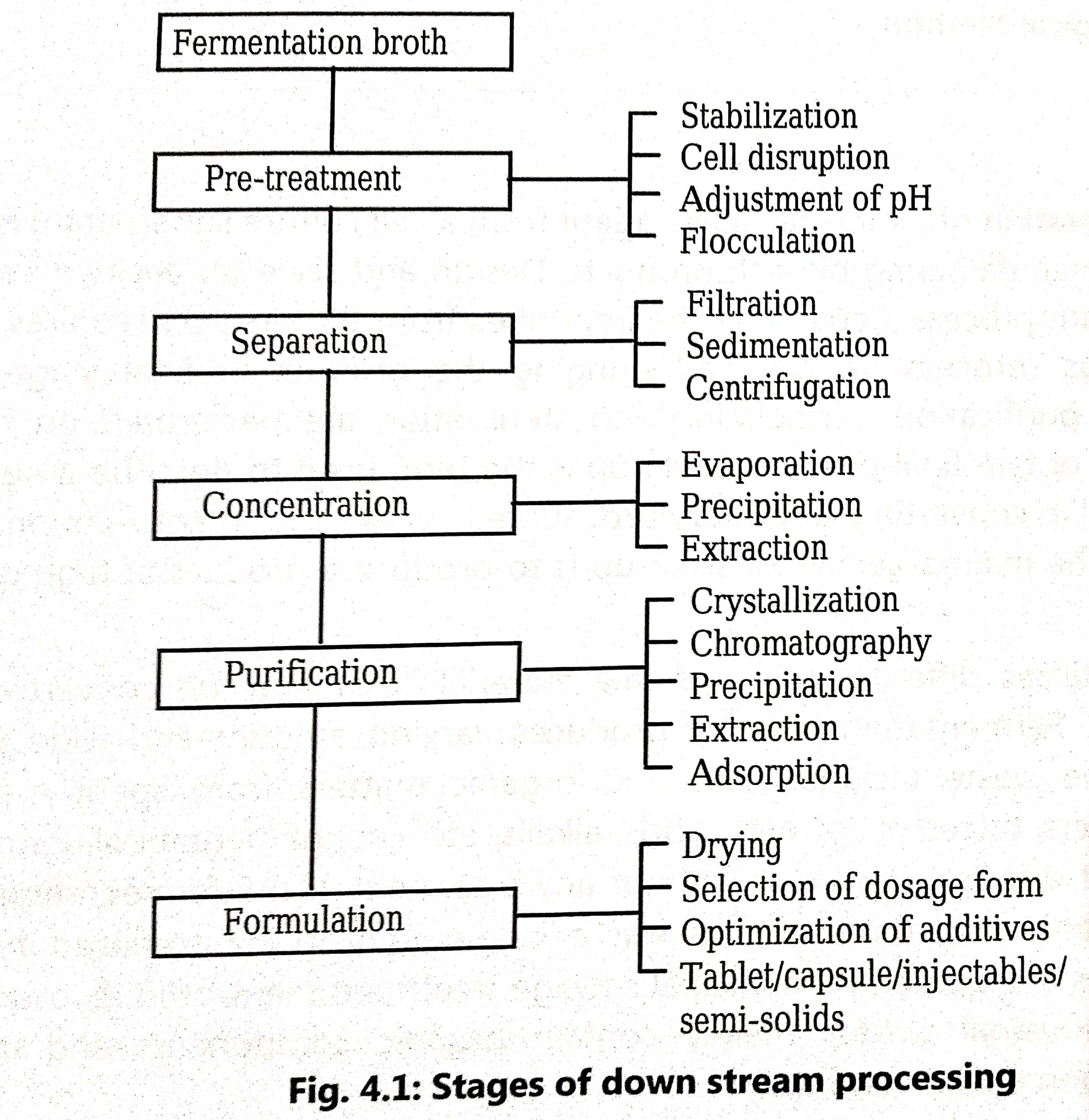 Upstream Processing Flow Chart