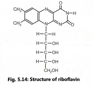 Production of Vitamin B2(RIBOFLAVIN)