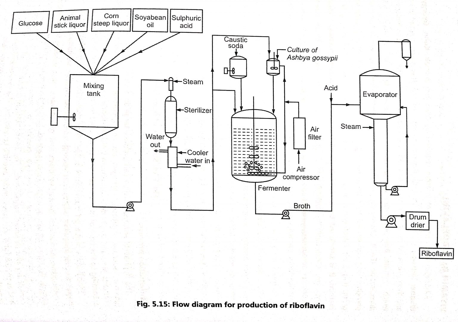 Production of Vitamin B2(RIBOFLAVIN) Biology Ease