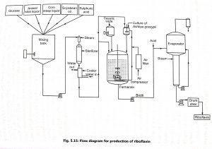 Production of Vitamin B2(RIBOFLAVIN)