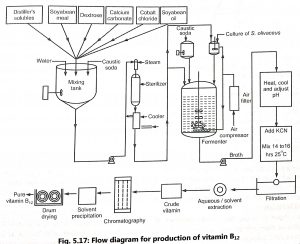 Production of Vitamin B12 (Cobalamin)