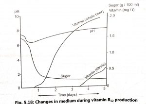 Production of Vitamin B12 (Cobalamin)