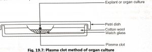 Methods of Organ culture