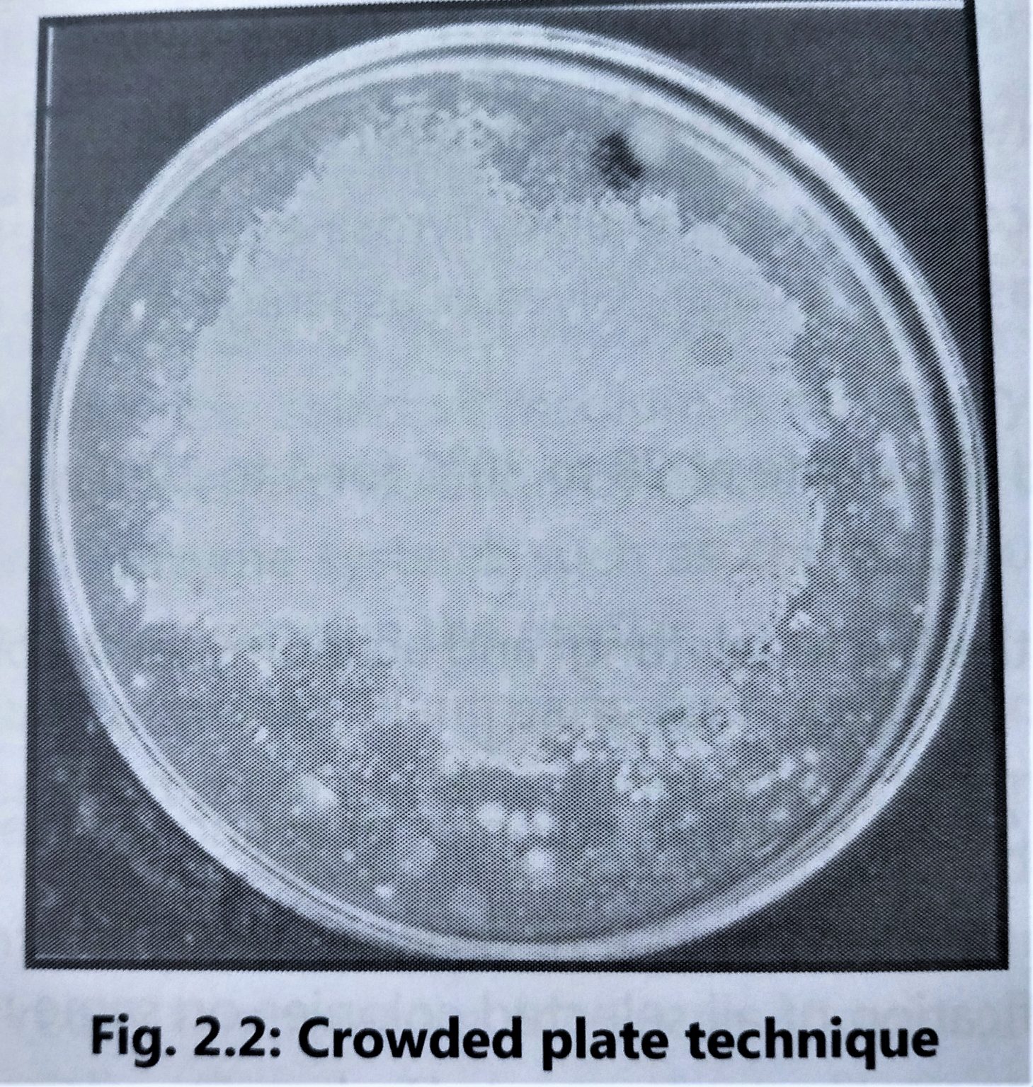 Screening and its Techniques Biology Ease