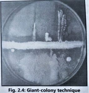 Screening and its Techniques