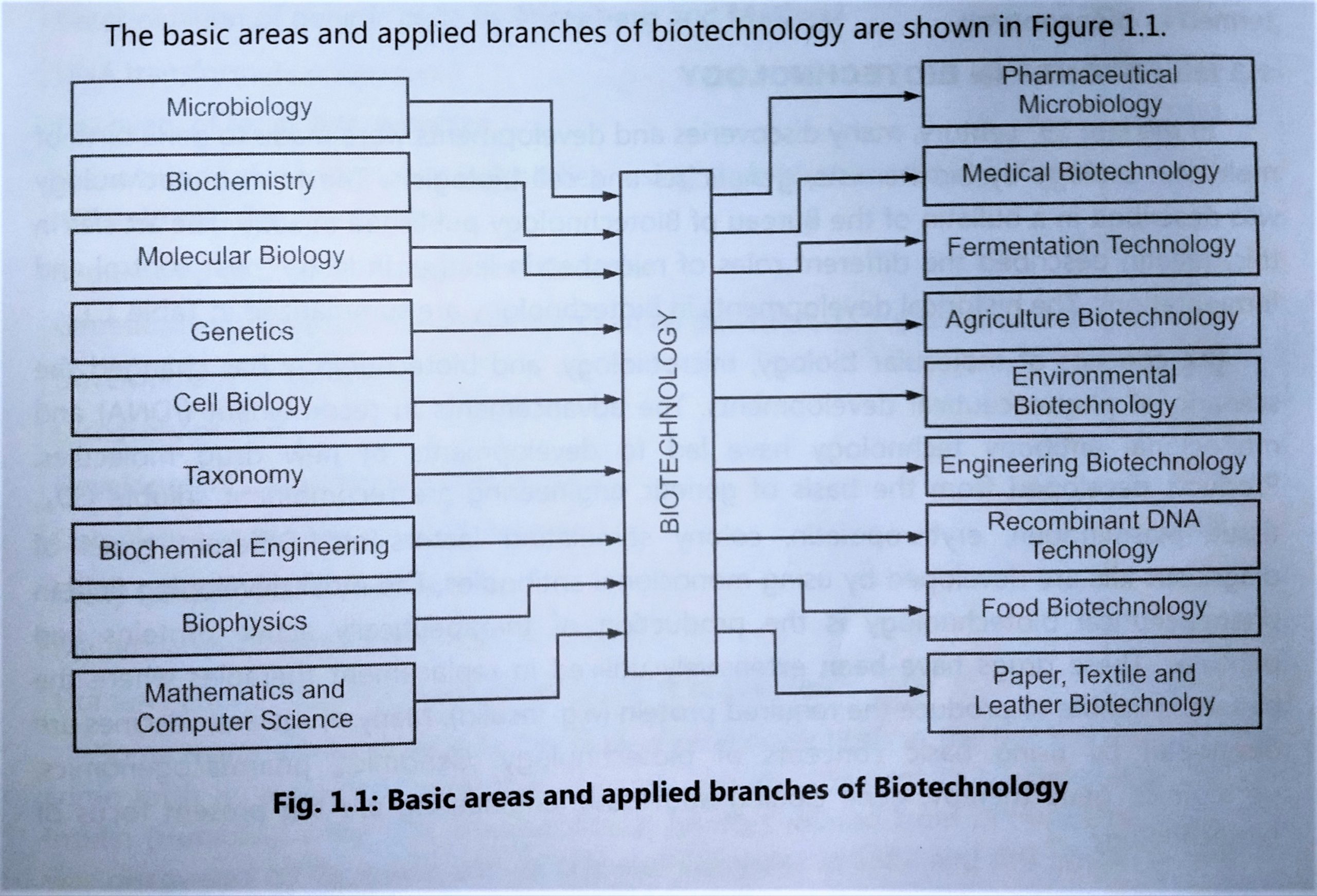 Branches of Biotechnology BIOLOGY EASE