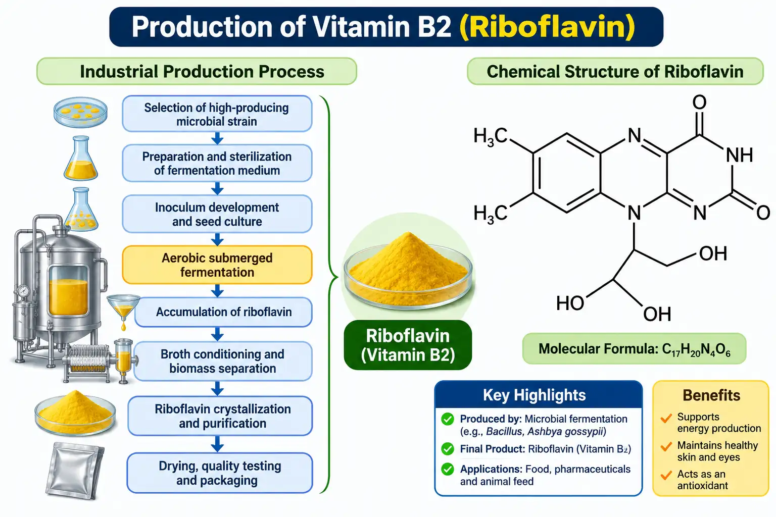 Production of Vitamin B2