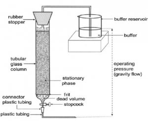 Downstream Processing