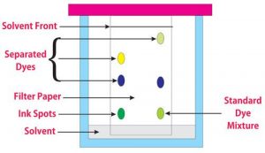 Downstream Processing