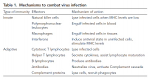 Viruses and the immune system