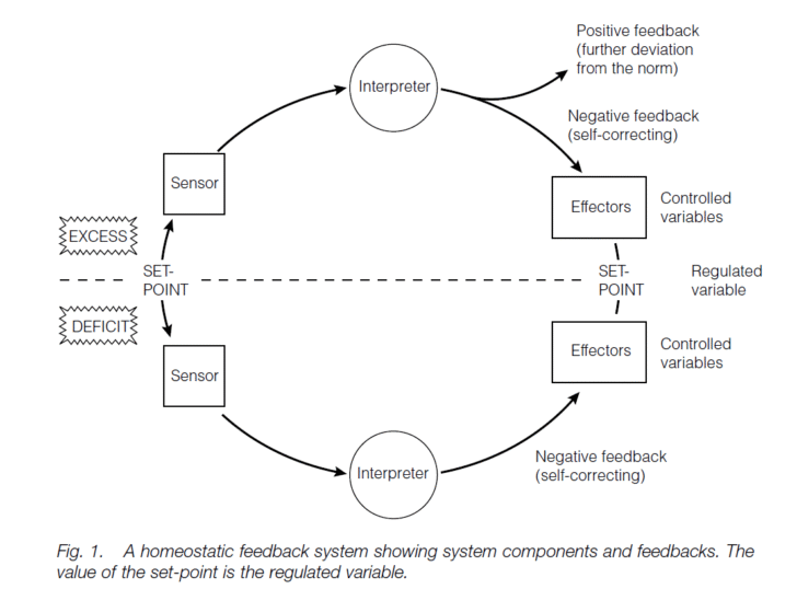 Homeostasis