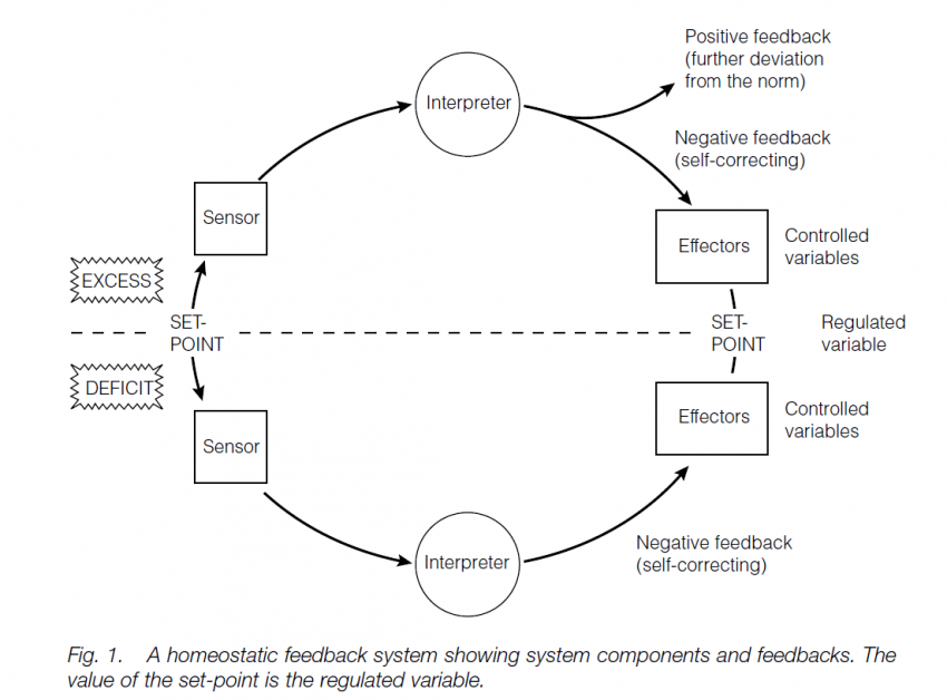 Homeostasis Biology Ease