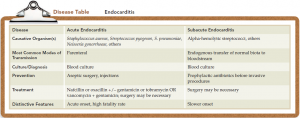 Endocarditis-symptoms,diagnosis and treatment