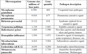 Bacterial Genomics - Biology Ease