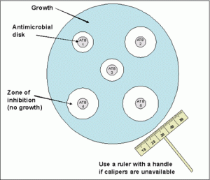 Antimicrobial Susceptibility Testing