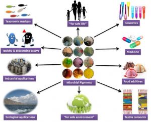 Production of Pigments by Microorganisms