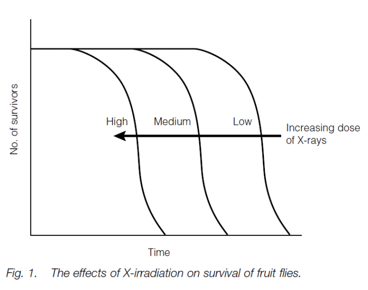 Theories Of Aging
