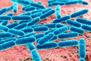 Characteristics of microbes in industrial-microbiology 