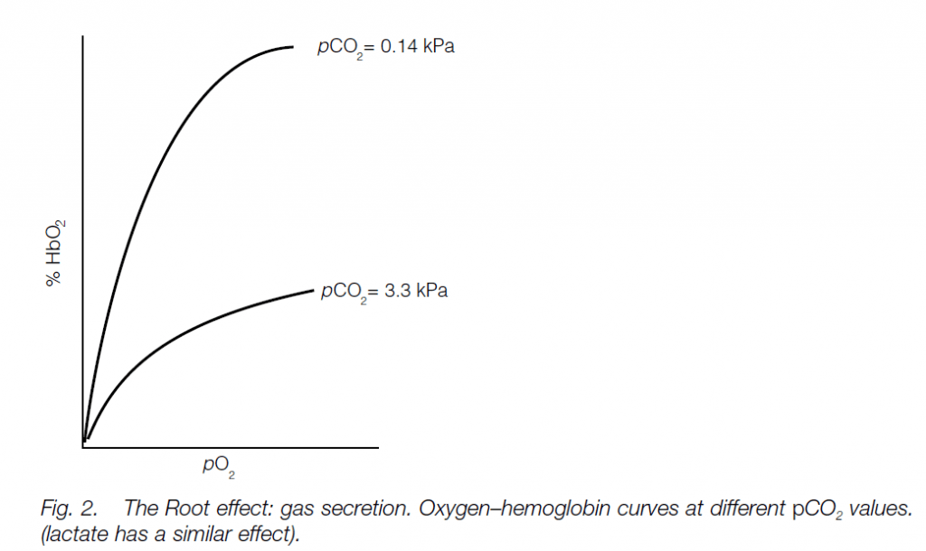Detailed account on Buoyancy Biology Ease