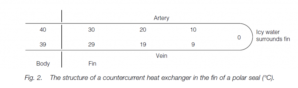 Thermoregulation Biology Ease