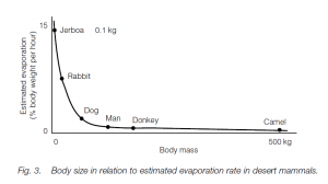 Thermoregulation