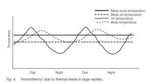 Thermoregulation