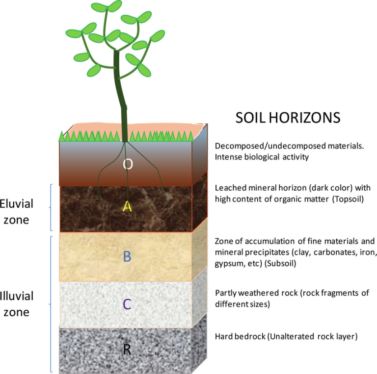 Schematic drawing of the soil profile