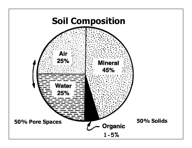 Soil: Physical and Chemical properties