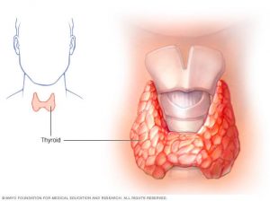 THYRODISM: OVERVIEW