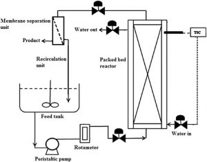 Types of Fermentors