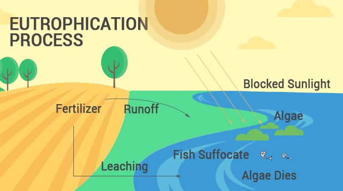 ALGAL TOXIN- OVERVIEW - Biology Ease