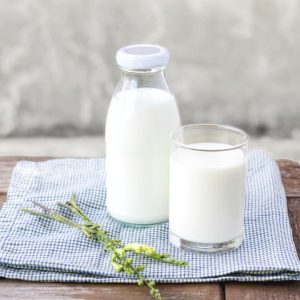 Microorganisms in milk spoilage