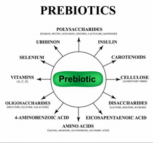 PREBIOTICS | OVERVIEW