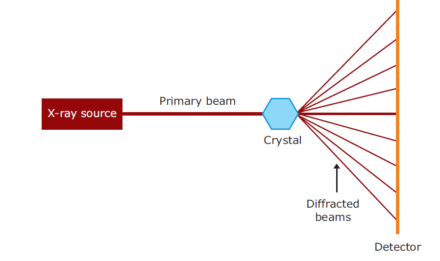 X-ray Crystallography - Biology Ease