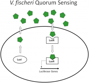 467320 1 En 13 Fig1 HTML