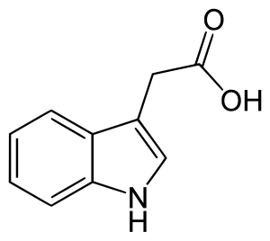 Auxin