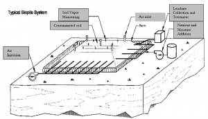 Bioremediation