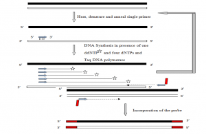 Labeling of Probes- Overview