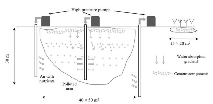 Bioremediation: Definition, Types, Advantages, Limitations